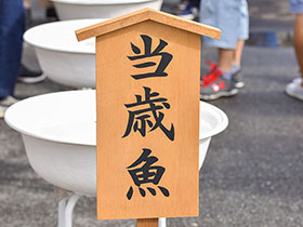 �u���΋��v