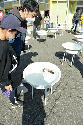 �u�����̗l�q�v