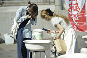 �u�����̗l�q�v