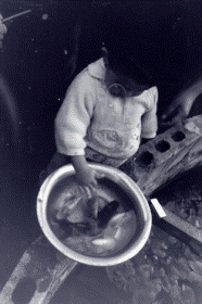 �u�m�l(�O��o����)�̒r�ɕ������������ς݂̒Ìy�сv(���U�C�N������)